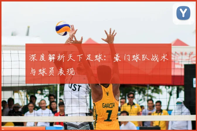 深度解析天下足球：豪门球队战术与球员表现